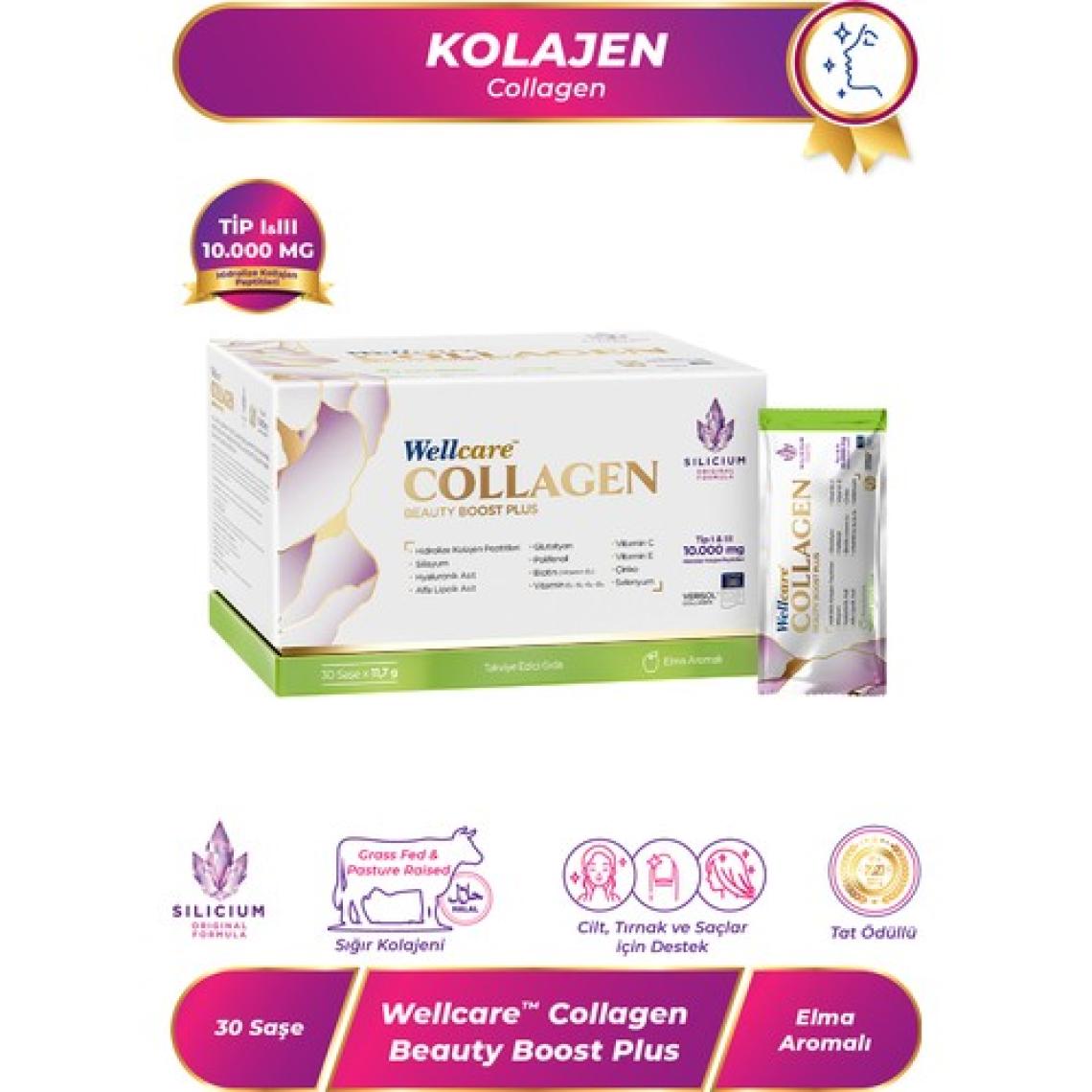 Wellcare Collagen Beauty Boost Plus Tip I & III 10.000 mg Elma Aromalı 30 Saşe