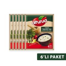 Altunsa Hazır Çorba Şehriyeli Tavuk 6 Lı 60 gr
