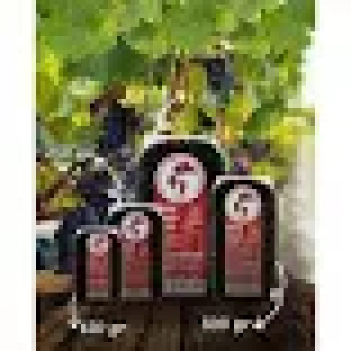 Alaşehir Kadın Kooperatifi Antep Karası (Çekirdekli)Kuru Üzüm(500GR)