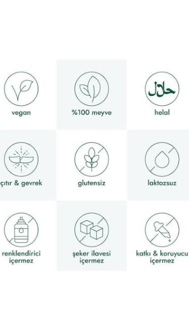 Dokuru Kivi Kuru Meyve Cipsi - Dondurularak Kurutulmuş Freeze Dried Çıtır Kivi