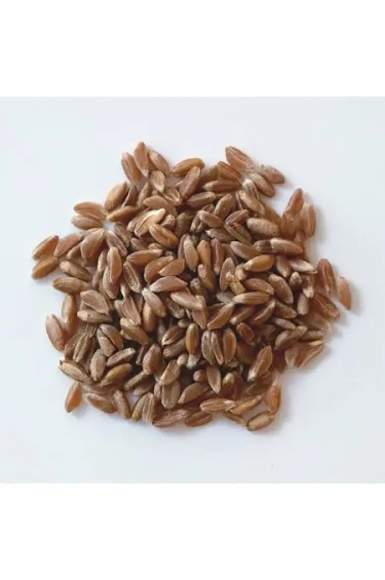Kappadokia Çavdar Unu 1 kg