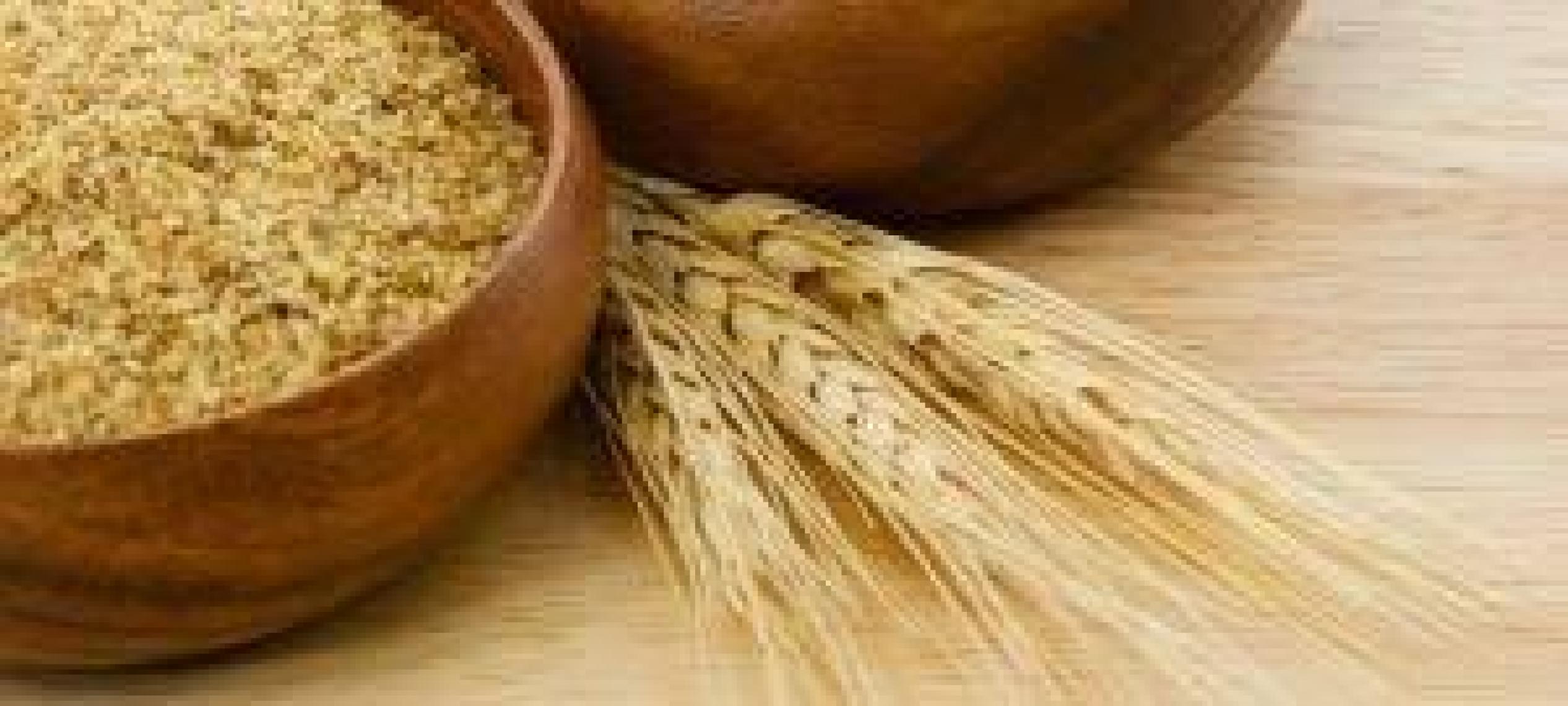Makarna Lütfen Organik Ruşeym - Buğday Özü (+8 ay - 100 g)