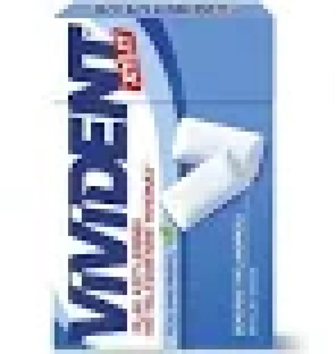 Vivident Box Nane 20 Adet x 22GR