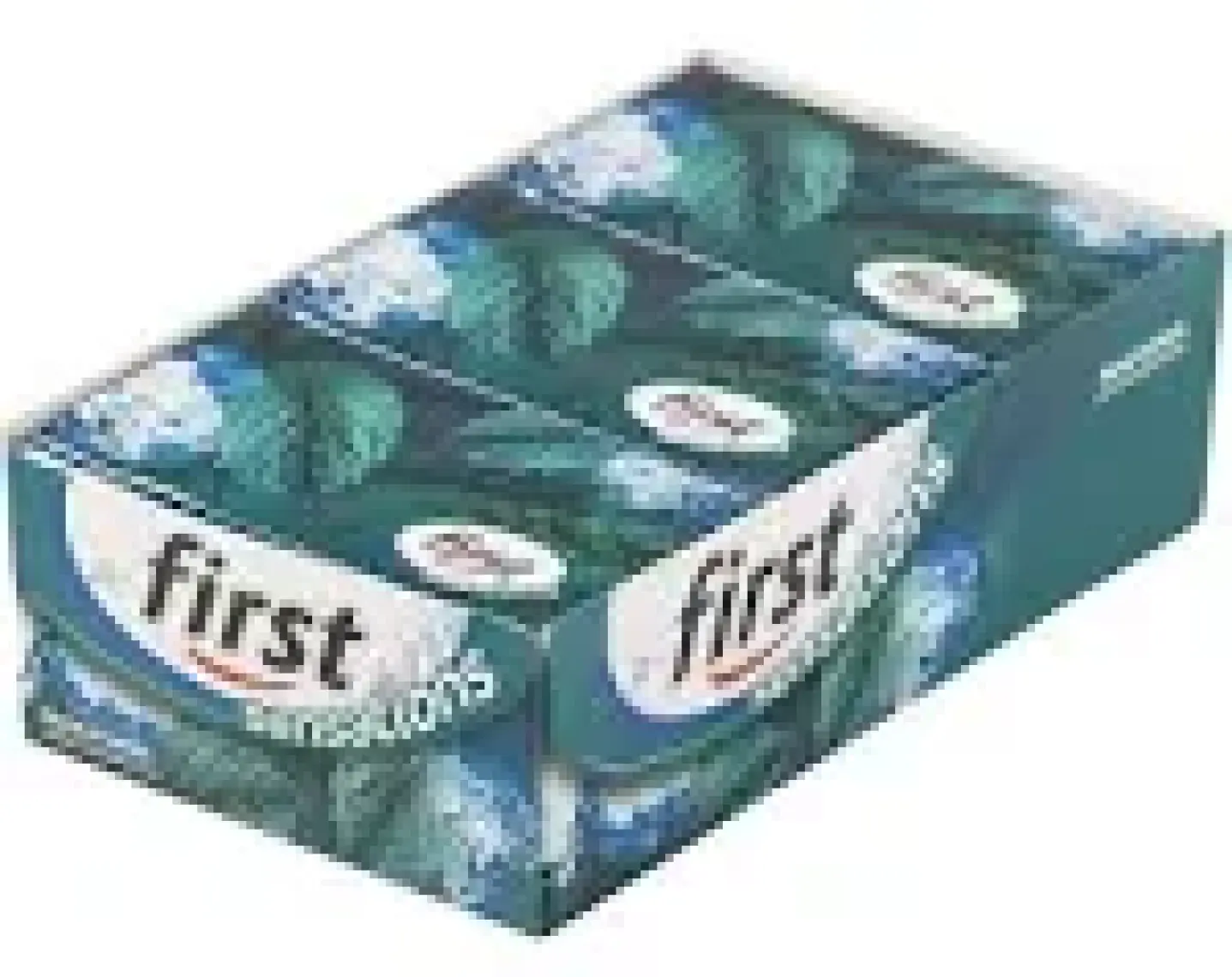 First Sensations Nane Aromalı Sakız 27 gr x 12 Li