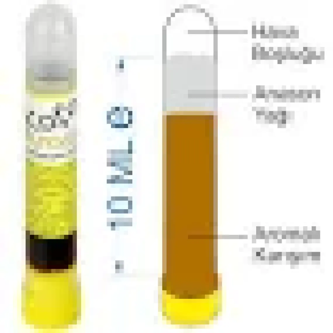 Altın Anason Yağı Hazır Karışımı 10 ML