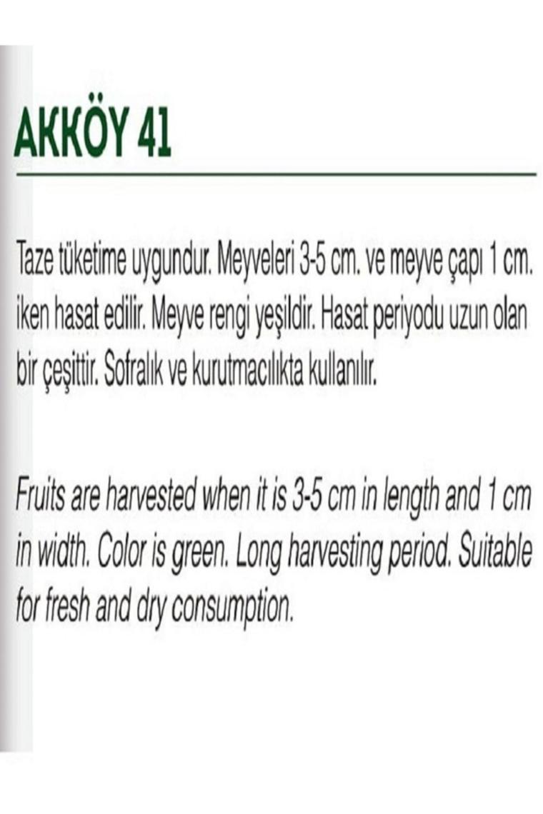 Ata Tohumu Yerli Bamya 100 Adet Doğal Tohum