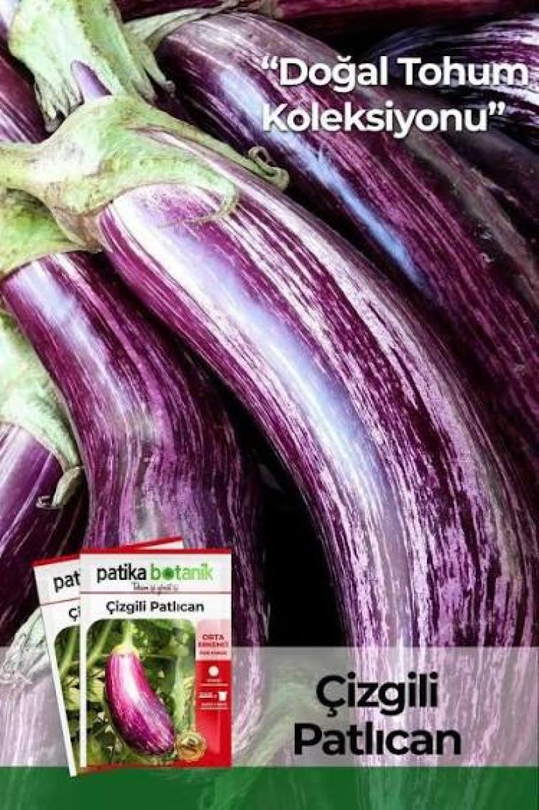 Patika Botanik 200 Adet Çizgili / Alaca Patlıcan Tohumu