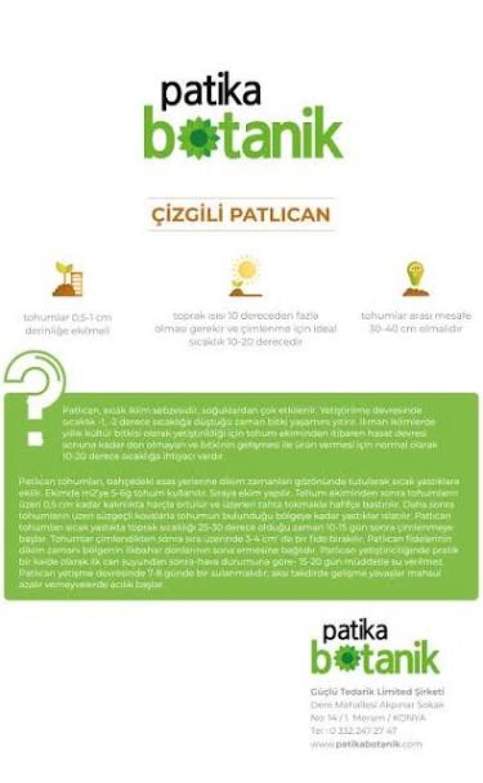 Patika Botanik 200 Adet Çizgili / Alaca Patlıcan Tohumu