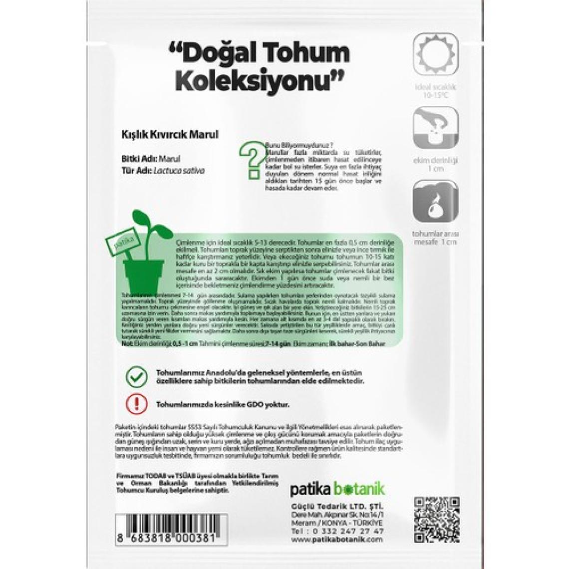 Patika Botanik 2000 Adet Kışlık Kıvırcık Marul Tohumu