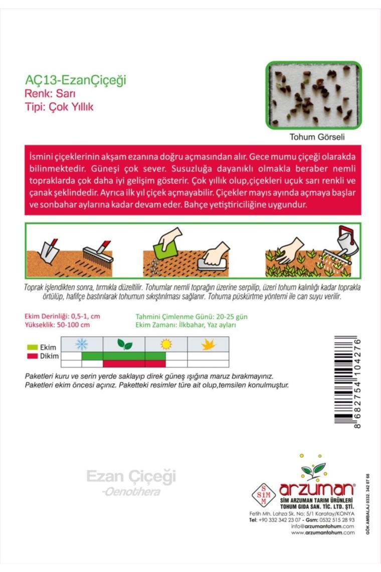 Ezan Çiçeği (oenothera) Çiçek Tohumu 100 Adet