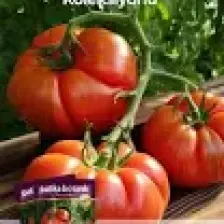 Patika Botanik 10 Adet Buran Domates Tohumu