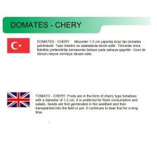 Ata Tohumu Doğal Kahvaltılık Cherry Kokteyl Domates 100 Adet Yerli Tohum