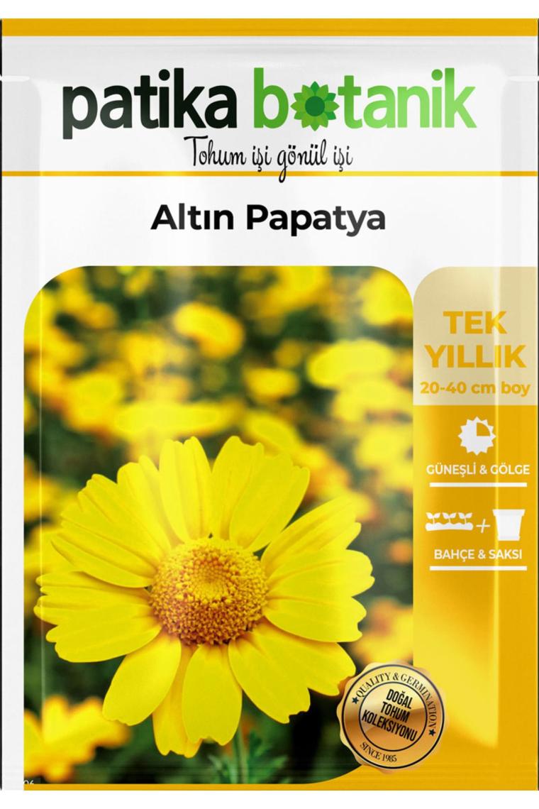100 Adet Altın Papatya Tohumu (ANTHEMİS TİNCTORİA KELWAYİİ)