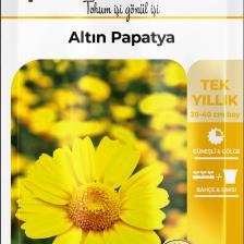 100 Adet Altın Papatya Tohumu (ANTHEMİS TİNCTORİA KELWAYİİ)