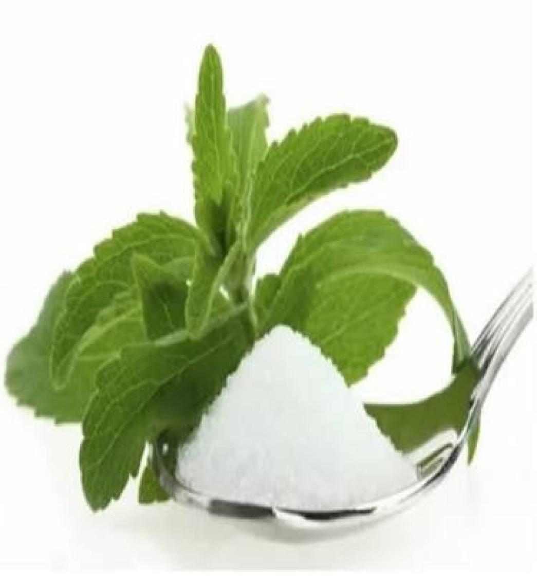 Murat Tohumculuk Murattohum Stevia Tohumu Şeker Otu Tohumu