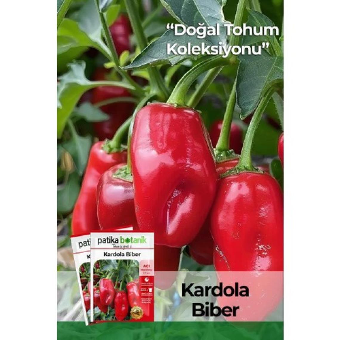 Patika Botanik 200 Adet Kardola Biber Tohumu (Mini Kapya)