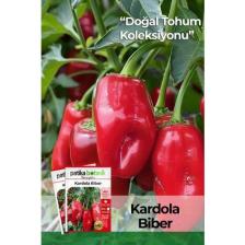 Patika Botanik 200 Adet Kardola Biber Tohumu (Mini Kapya)