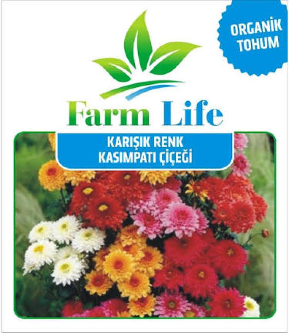 Kasımpati Çiçeği Tohumu