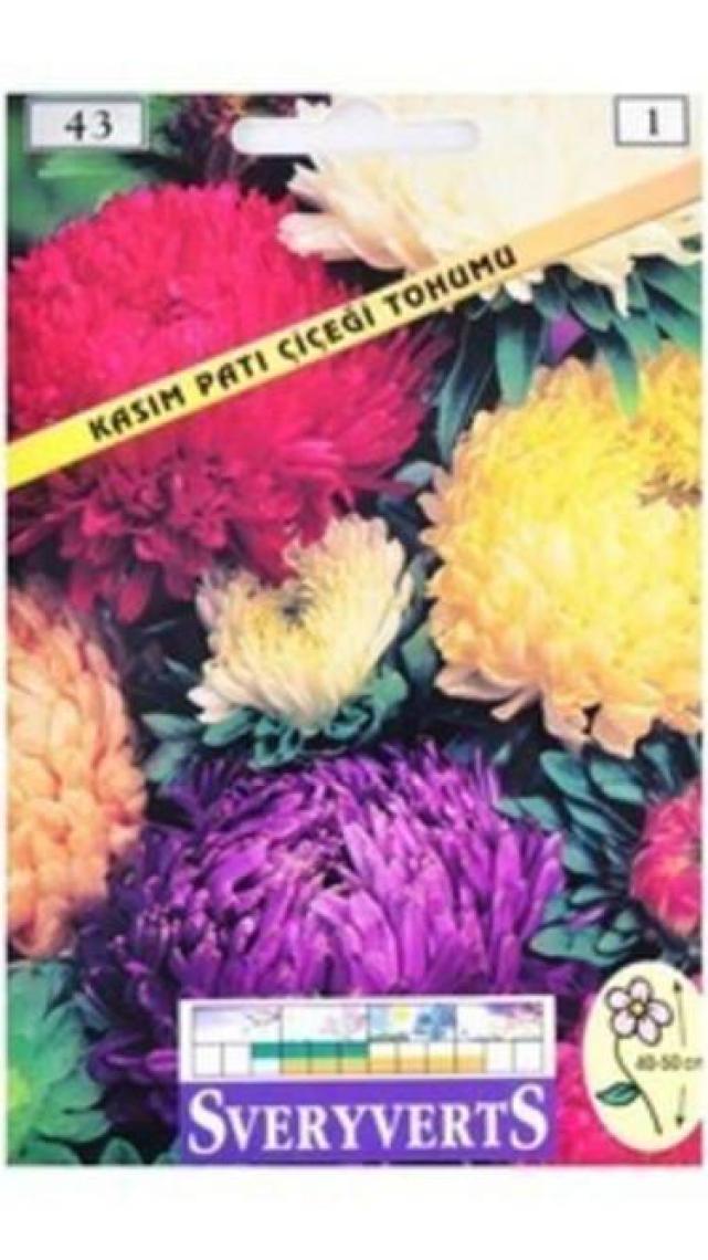 Kasımpati Çiçeği Tohumu