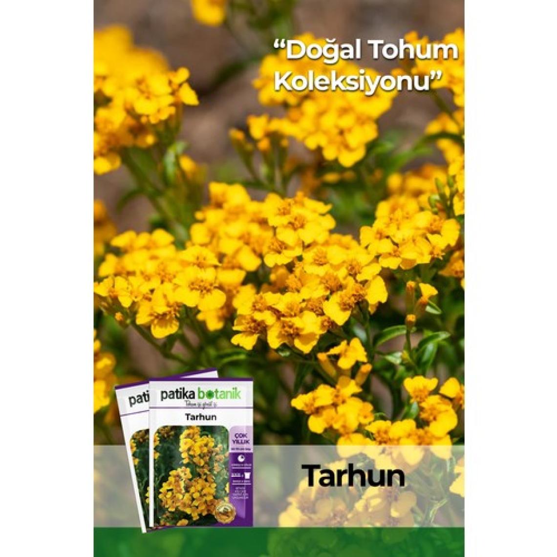 Patika Botanik 50 Adet Tarhun Tohumu (Artemisia Dracunculus L.)