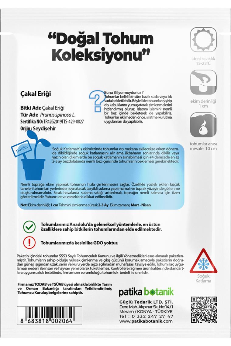 Patika Botanik 30 Adet Güvem Eriği Ağaç Tohumu