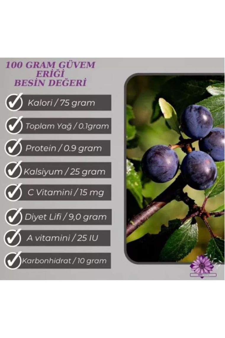 Patika Botanik 30 Adet Güvem Eriği Ağaç Tohumu