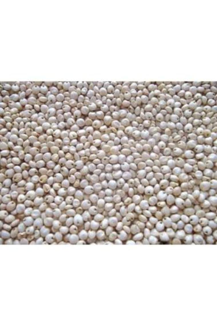 Ingro Beyaz Sorgum Tohumu 1000 G