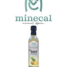 %100 Ev Yapımı Katkısız Ananas Sirkesi 500ml