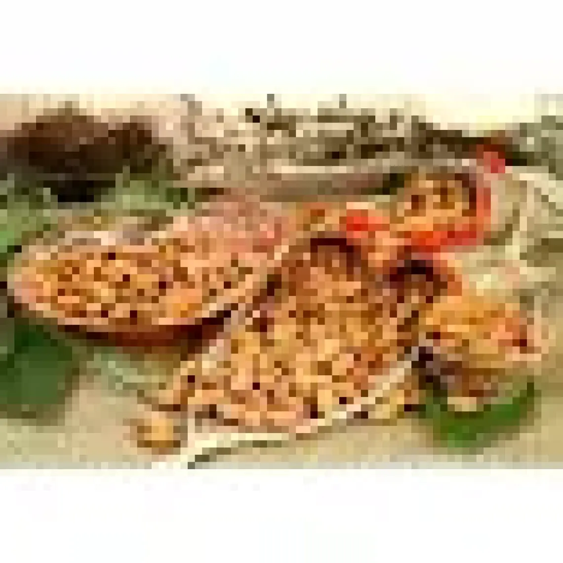 Antik Badem İçi Kavrulmuş 500 gr