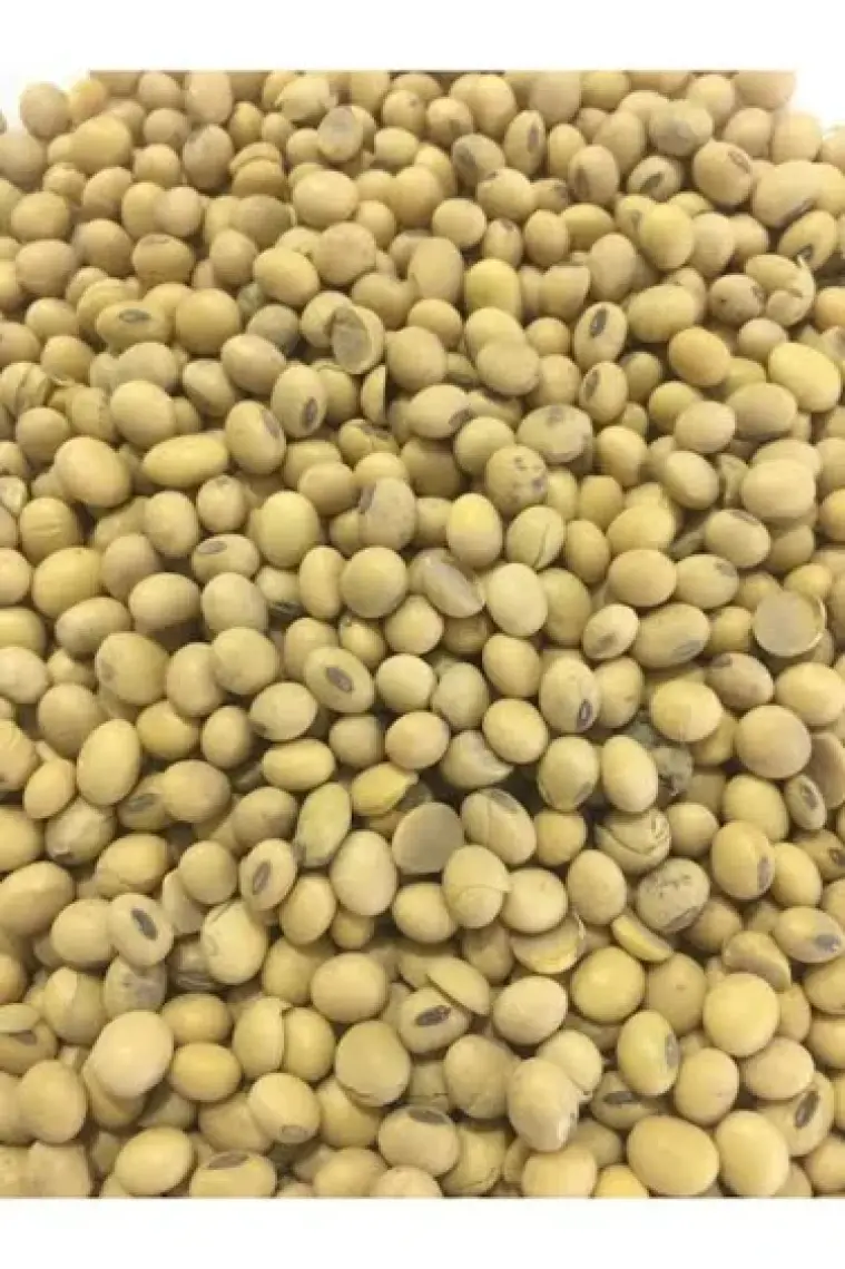 Ingro Glutensiz Soya Fasülyesi Unu 10000 G