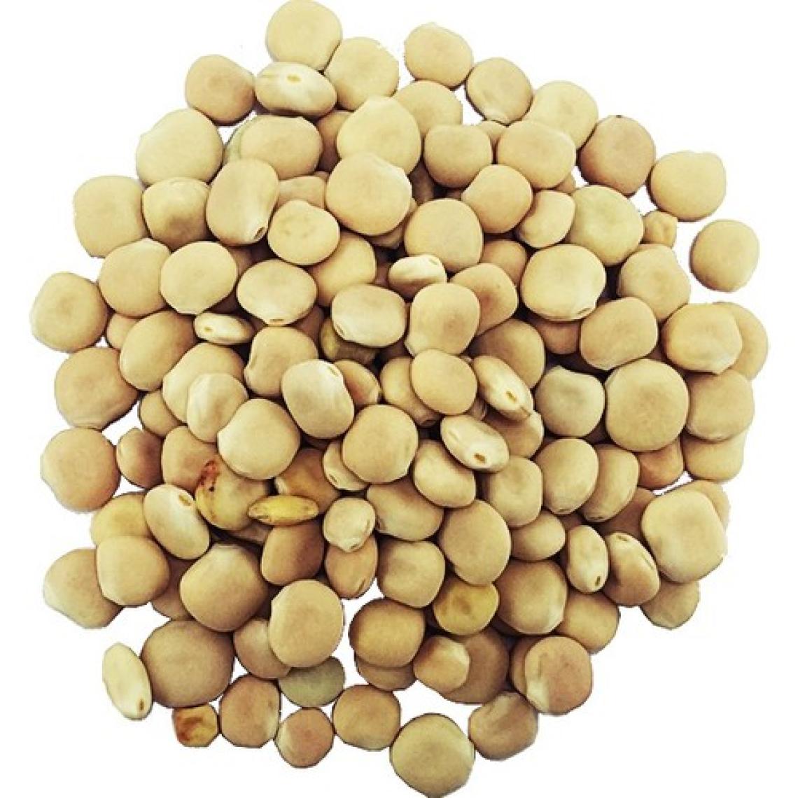 Yelken Acı Bakla ( Termiye ) 200gr
