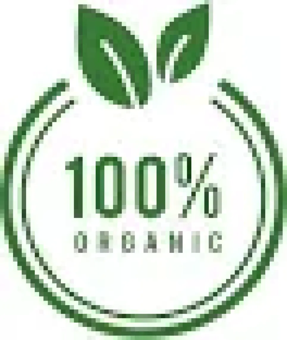Essen Organik Yeşil Mercimek 750 gr