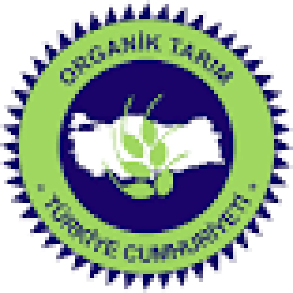 Essen Organik Yeşil Mercimek 750 gr