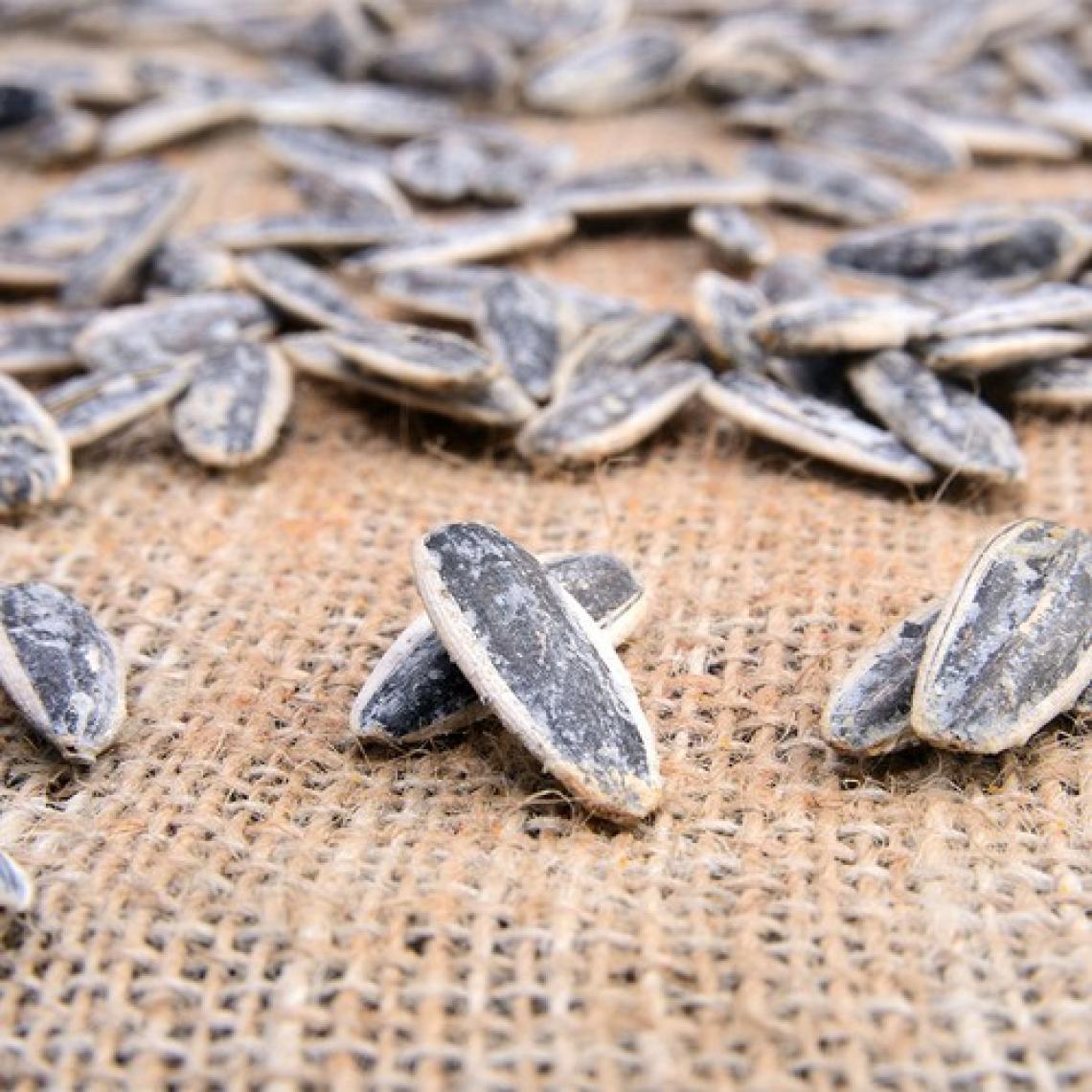 Tuzlu Siyah Çekirdek 750GR