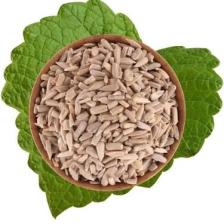 Antik Ayçekirdek İçi Çiğ (500 gr)