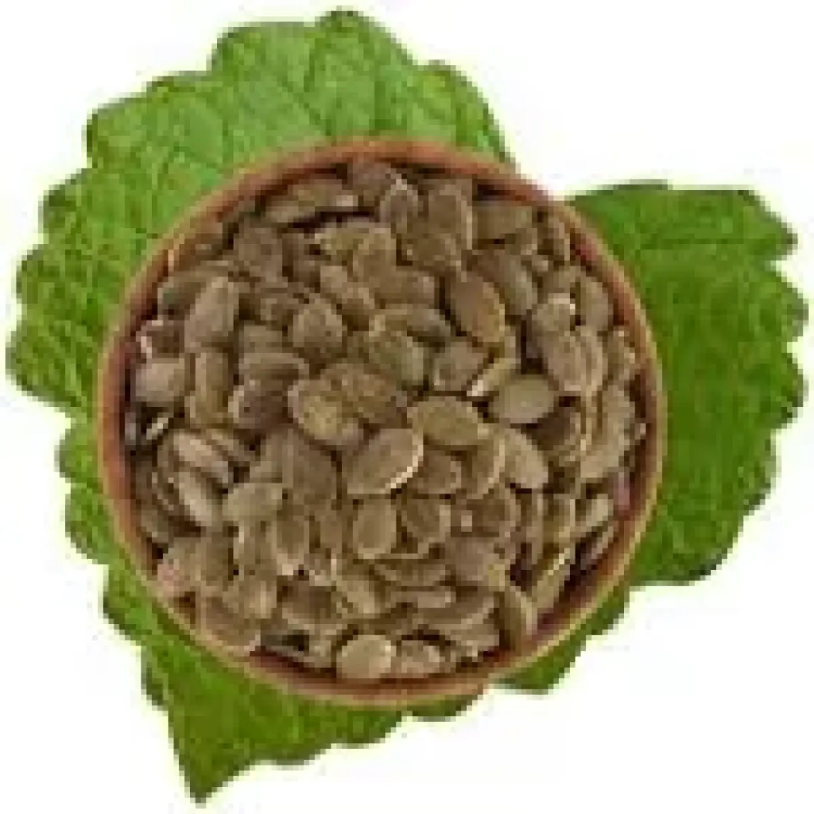 Kabak Çekirdek Içi Çiğ 500 G