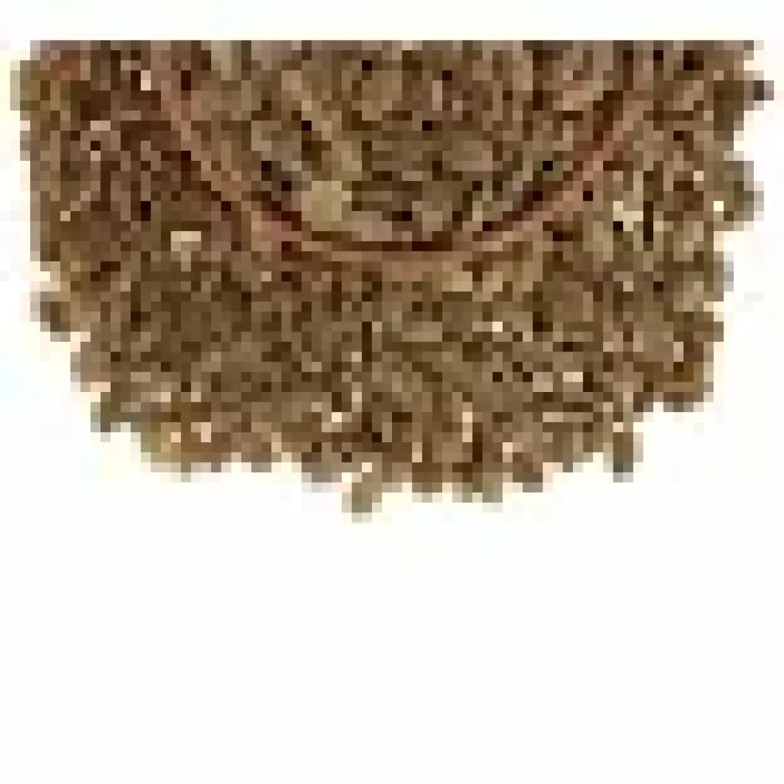 Kabak Çekirdek Içi Çiğ 500 G