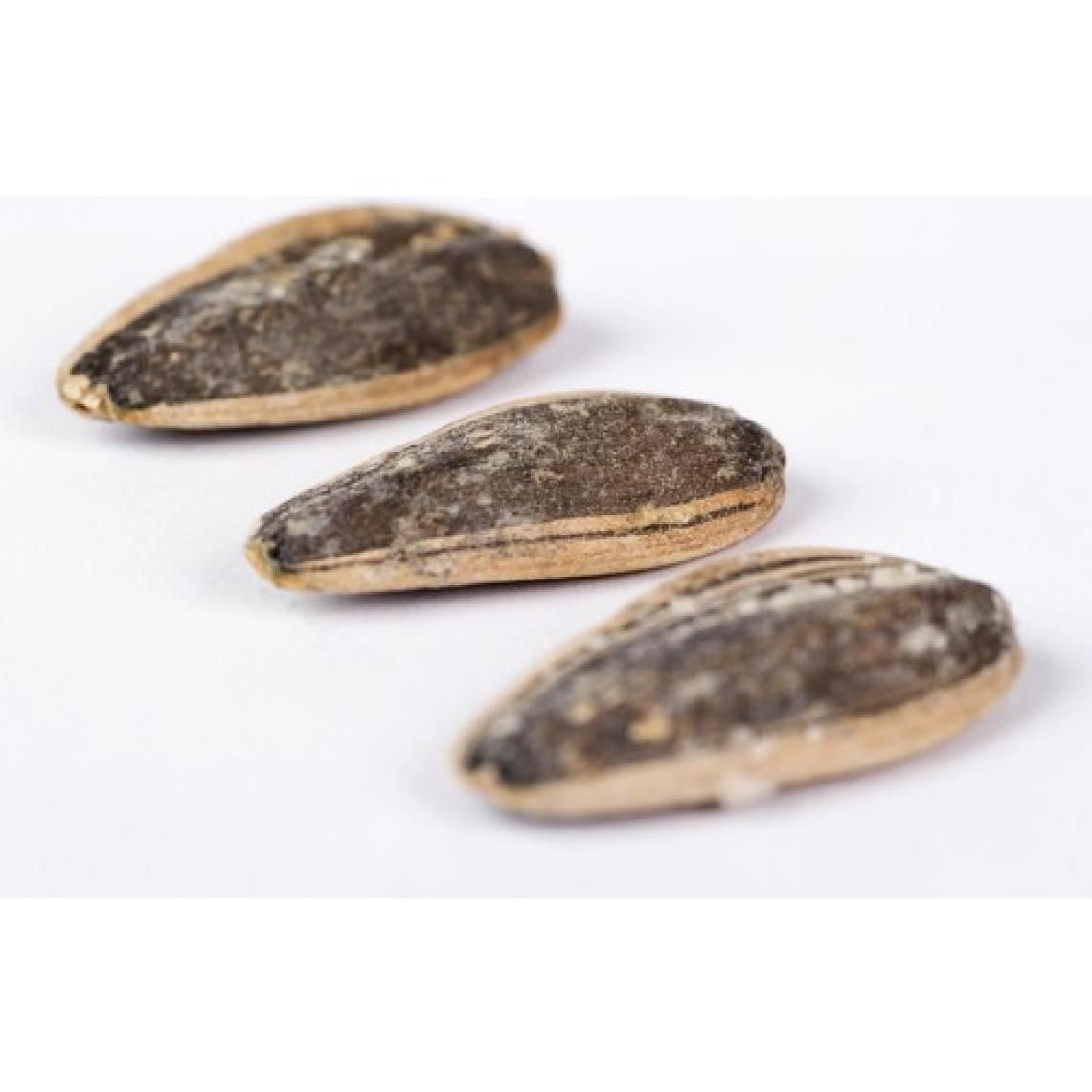 Kardeşler Kuruyemiş Siyah Tuzlu Çiğdem (Çekirdek)  250 gr