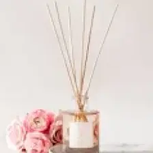Madame Coco Répertoire Çubuklu Oda Parfümü - Ambre - 100 ml