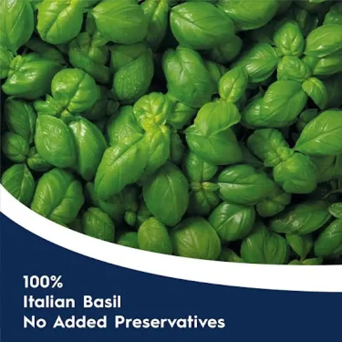 Barilla Fesleğenli/ Pesto Genovese Makarna Sosu 190 Gr