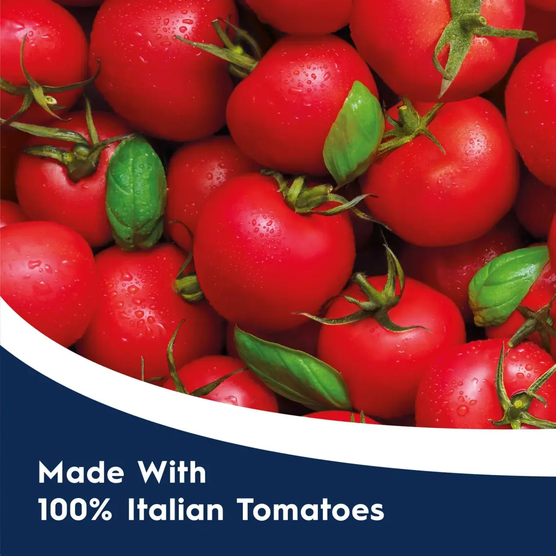 Barilla Basilico Domates Fesleğenli Makarna Sosu 400 gr