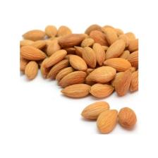 Doğa Gıda Acı Kayısı Çekirdeği 1000 Gr.