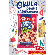 Paşa Kuruyemiş Çiğ Kaju & Turna Yemişi 40 gr x 12 Adet (Toplam 480 Gr)
