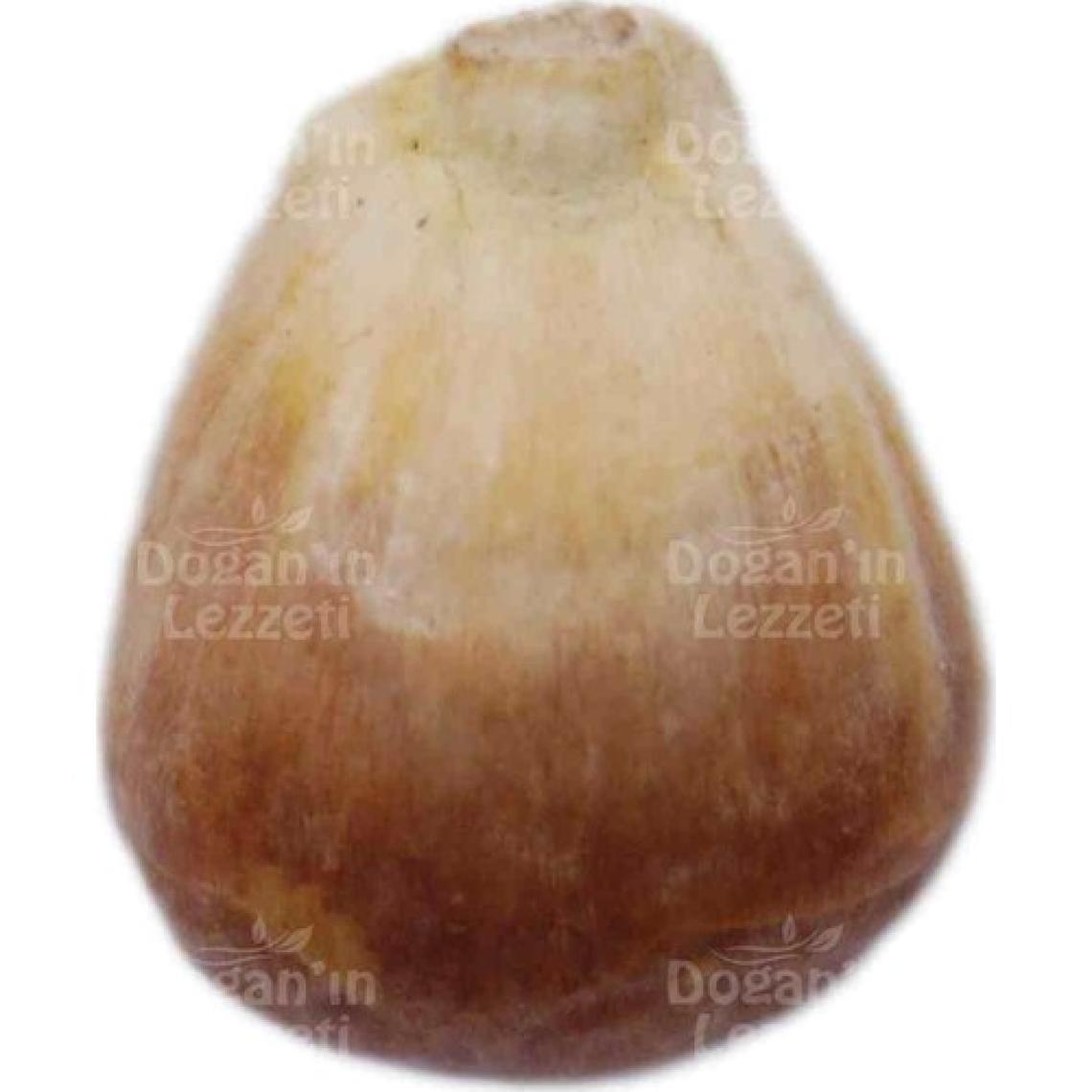 Doğan'ın Lezzeti Kavurga Mısır 250 gr