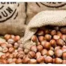 ÇerezAvm Kabuklu Fındık 1 kg