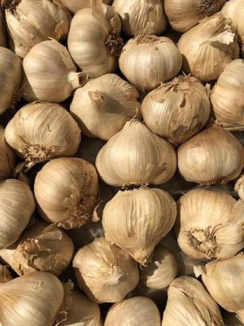 Edovital Siyah Sarımsak Tek Diş Mürdük 1 kg