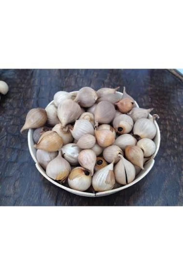 Edovital Siyah Sarımsak Tek Diş Mürdük 1 kg