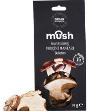 Kurutulmuş Porçini Mantarı (35 G)