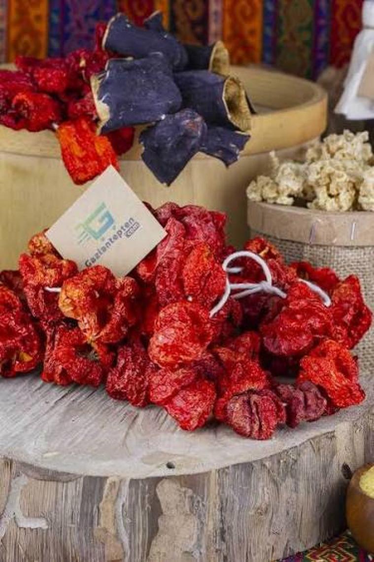 Gaziantepten Dolmalık Kuruluk Biber 1 Bağ Dizi - 50 Adet