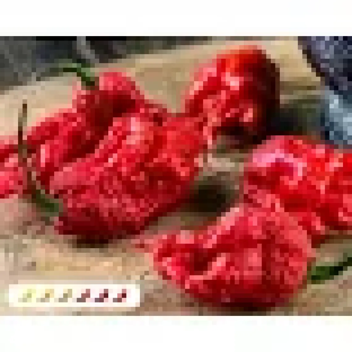 Hot Pepper Collector Carolına Reaper Biberi - Gerçek Taze Biber / 2,5 Milyon Scoville